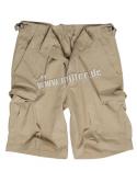 image_2 Airborne Vintage Shorts